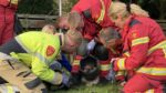 Hond met kop vast in ton: brandweer helpt