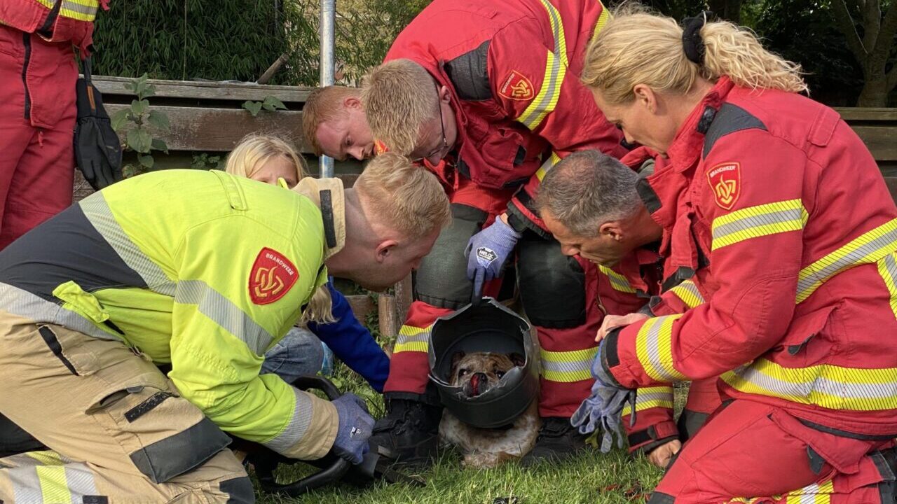 Hond met kop vast in ton, Saturnus Hoogezand